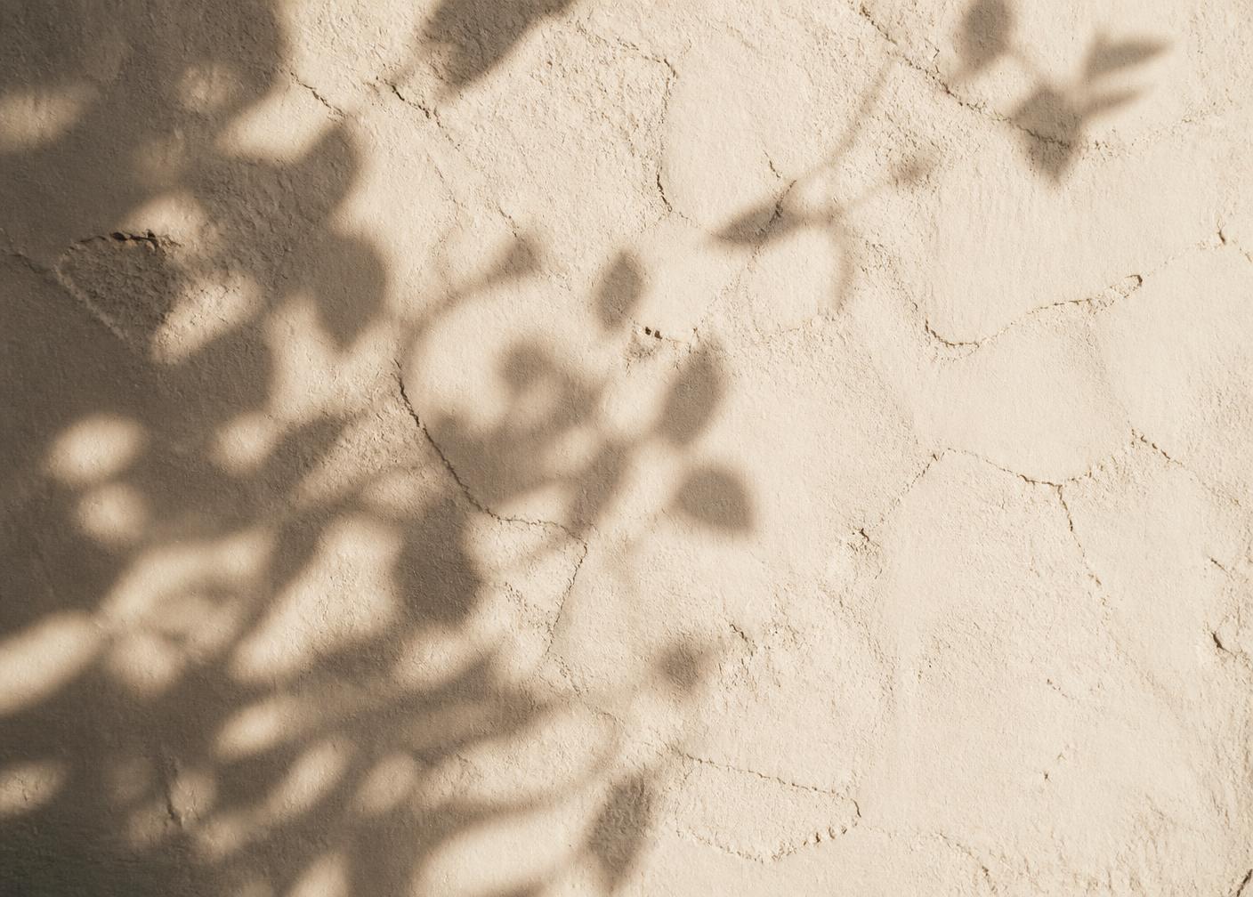 Plant shadows falling across a warm plastered wall